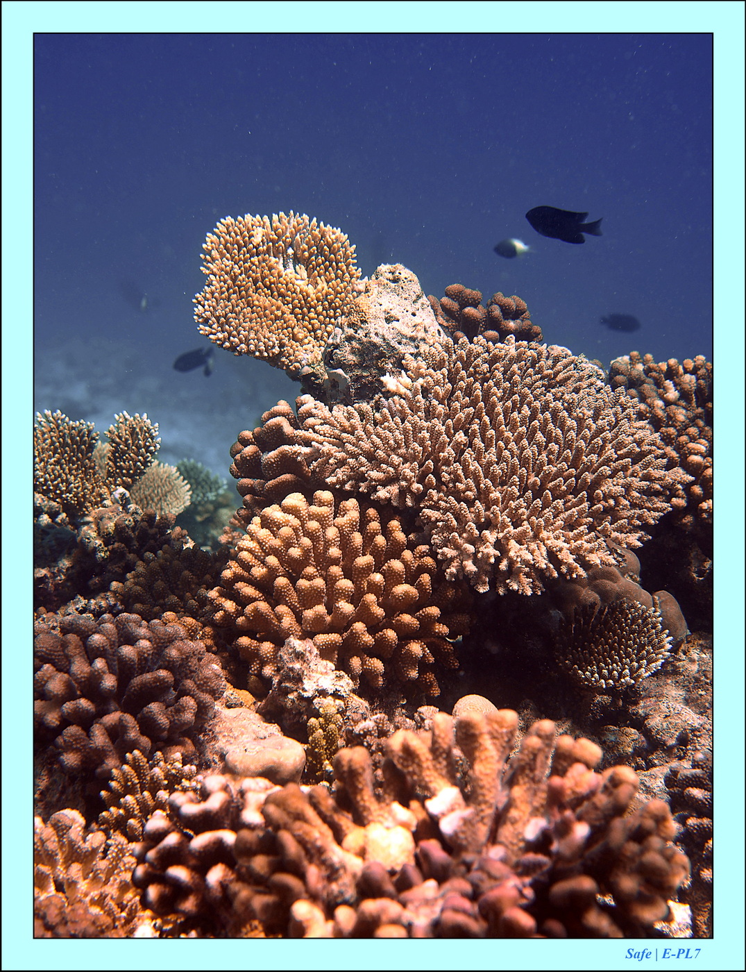 2023 - 07 - Sandies Bathala - 240